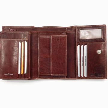 Arizona N1730.W8279 braun