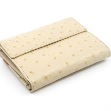 Cape Town 1343.9255 beige